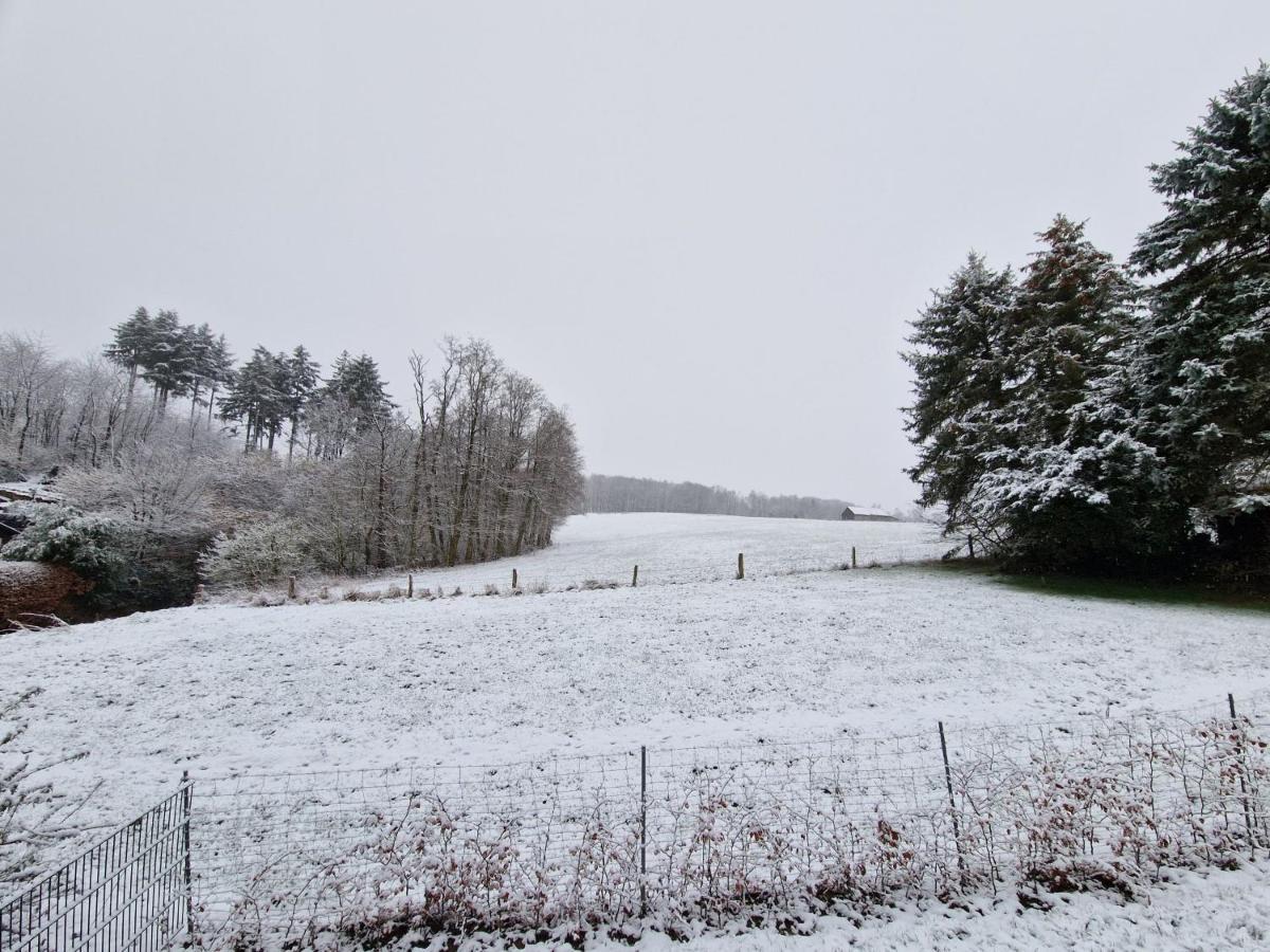 Möhnesee Ferienwohnung Arnsberger Wald מראה חיצוני תמונה